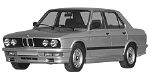 BMW E28 P0CF5 Fault Code